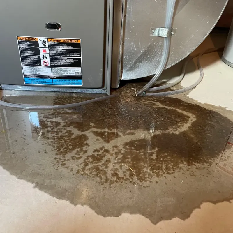 Appliance Leak Cleanup in Mars Hill, NC